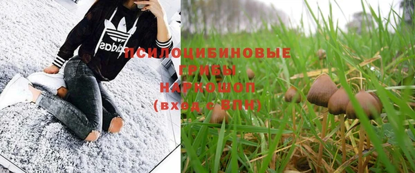скорость Белокуриха