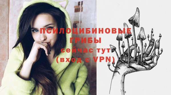 индика Богородицк
